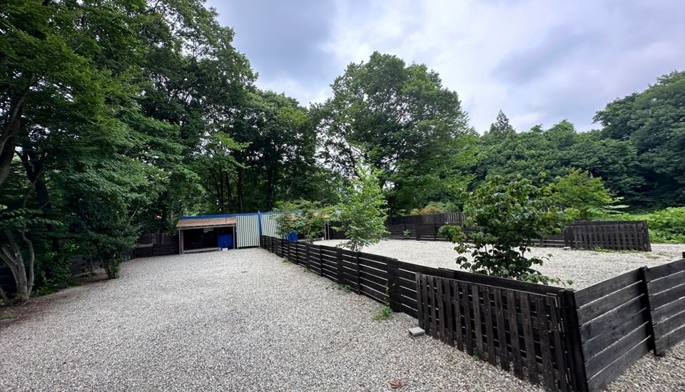 クアトロペロス