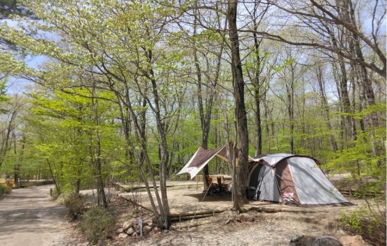 メープル那須高原アイキャッチ用 (1)