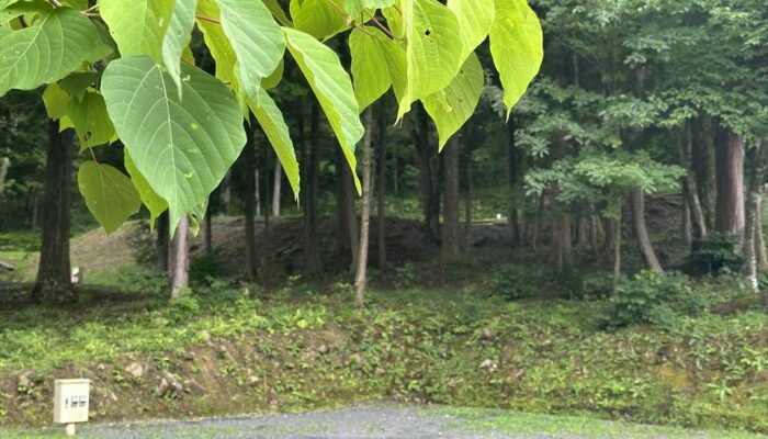 椛の湖オートキャンプ場 椛の湖オートキャンプ場