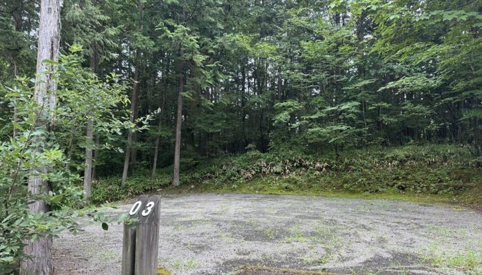 椛の湖オートキャンプ場 椛の湖オートキャンプ場