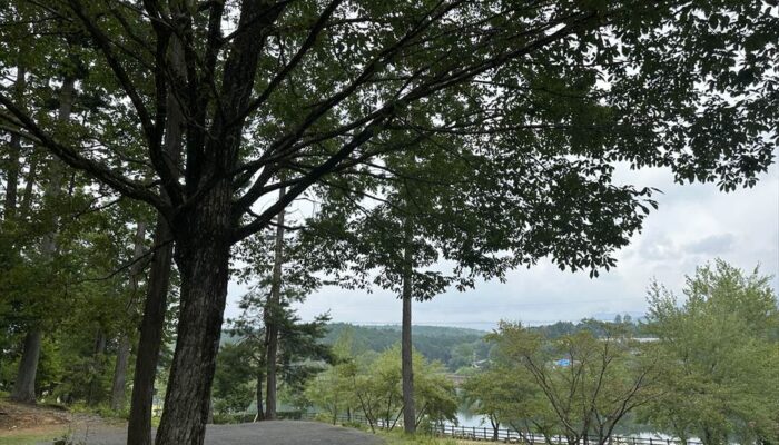 椛の湖オートキャンプ場 椛の湖オートキャンプ場