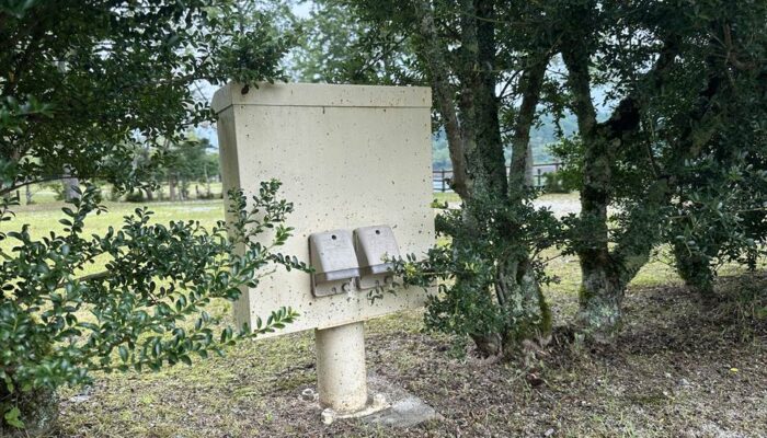 椛の湖オートキャンプ場 椛の湖オートキャンプ場