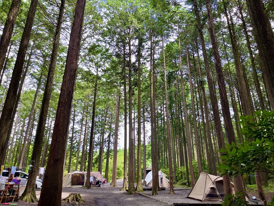 西富士オートキャンプ場 テントサイト