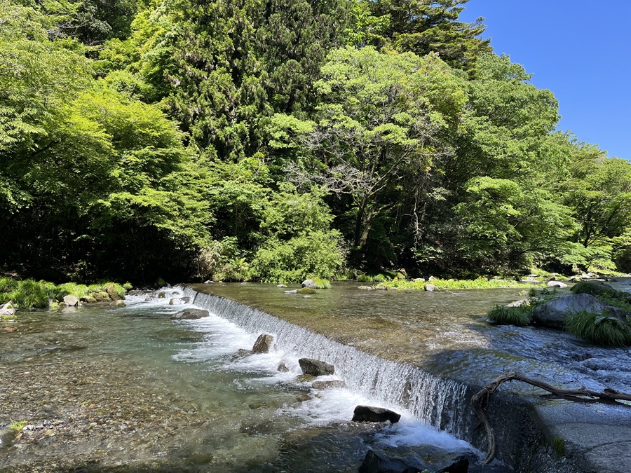 西富士オートキャンプ場 料金２