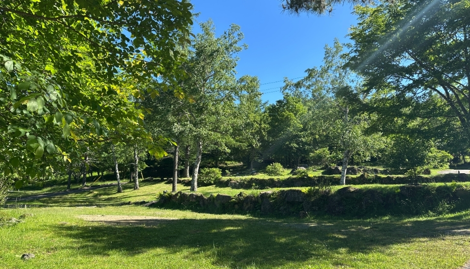 駒出池キャンプ場　オート木陰