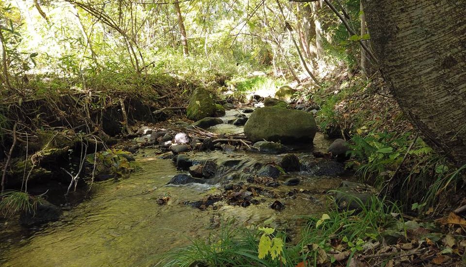 那須高原ITAMUROキャンプ場
