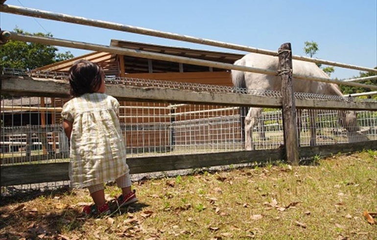 OKオートキャンプ場
