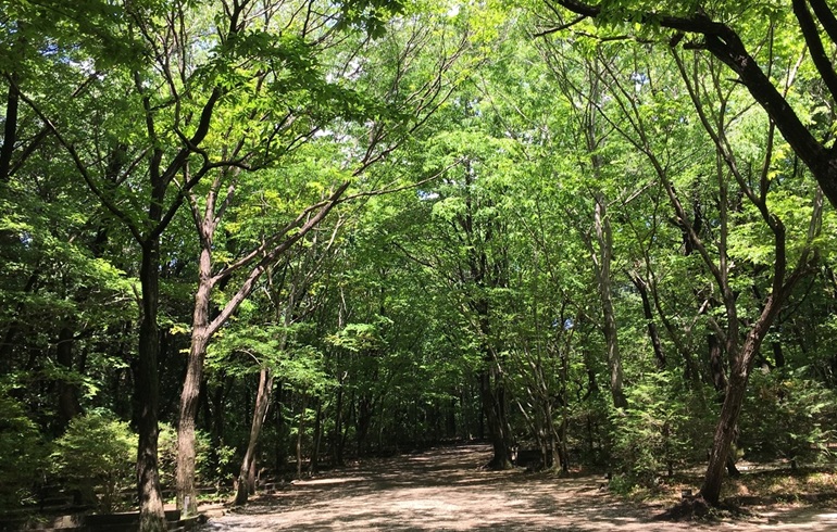 オートキャンプ場太陽の丘 ソロプラン