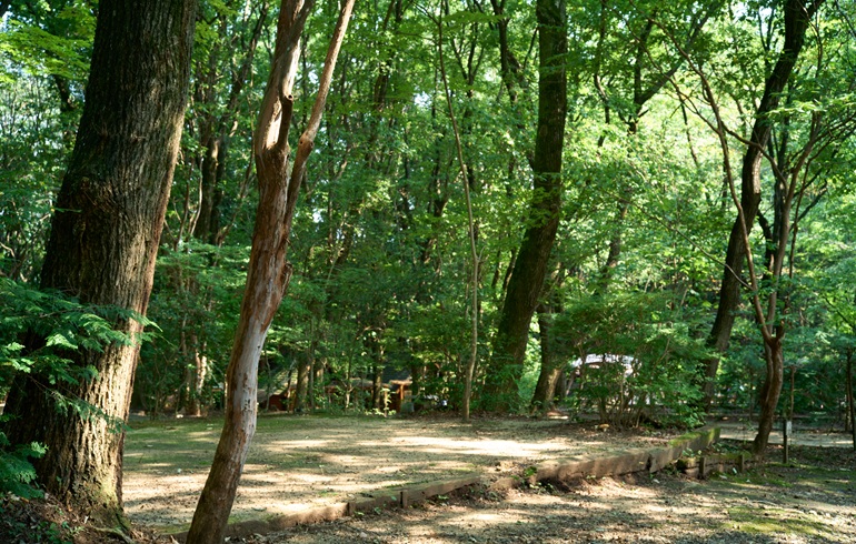 オートキャンプ場太陽の丘　風