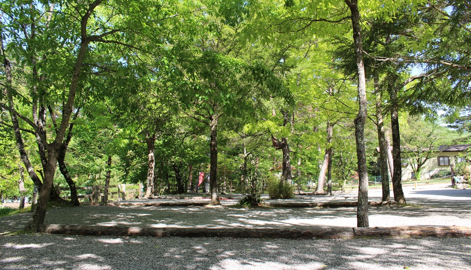 篠沢大滝キャンプ場