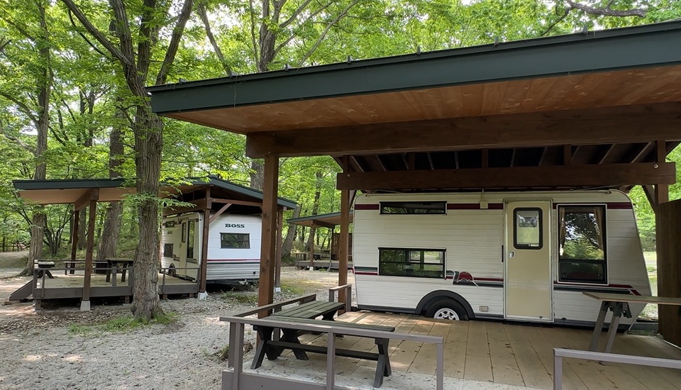 キャンプラビット