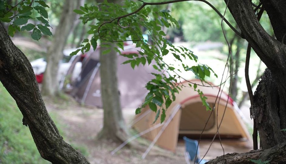 フォンテーヌの森