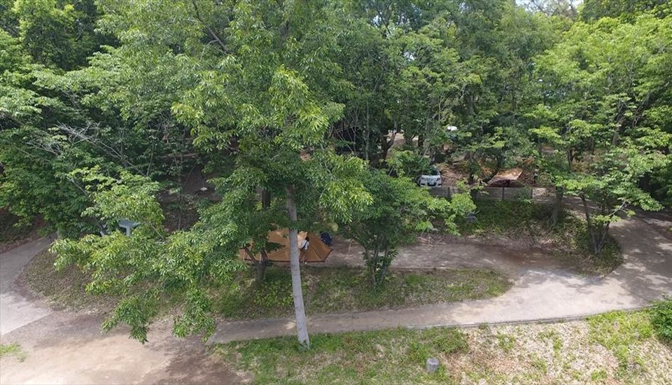 フォンテーヌの森