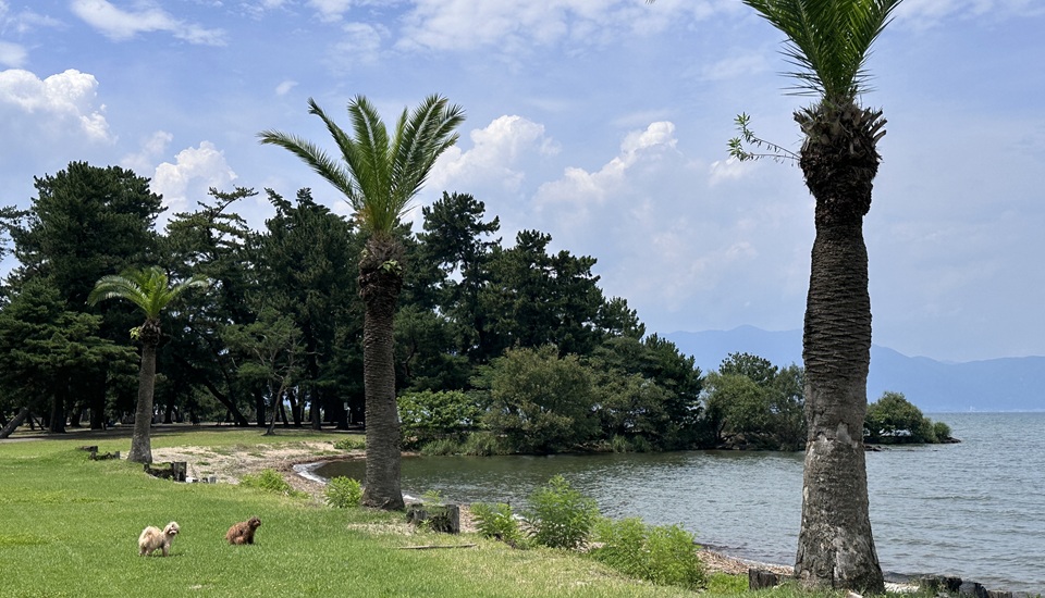 マイアミ浜オートキャンプ場