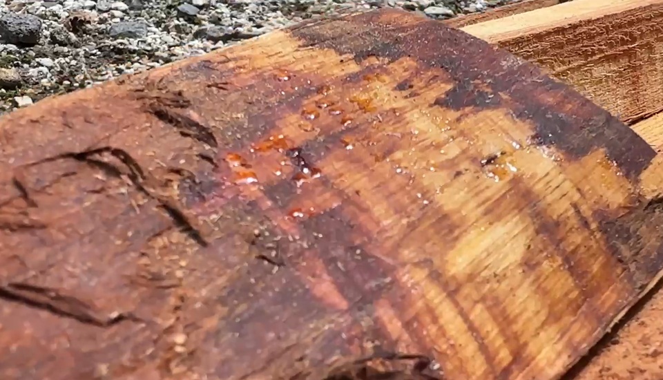 信州カラマツ薪3