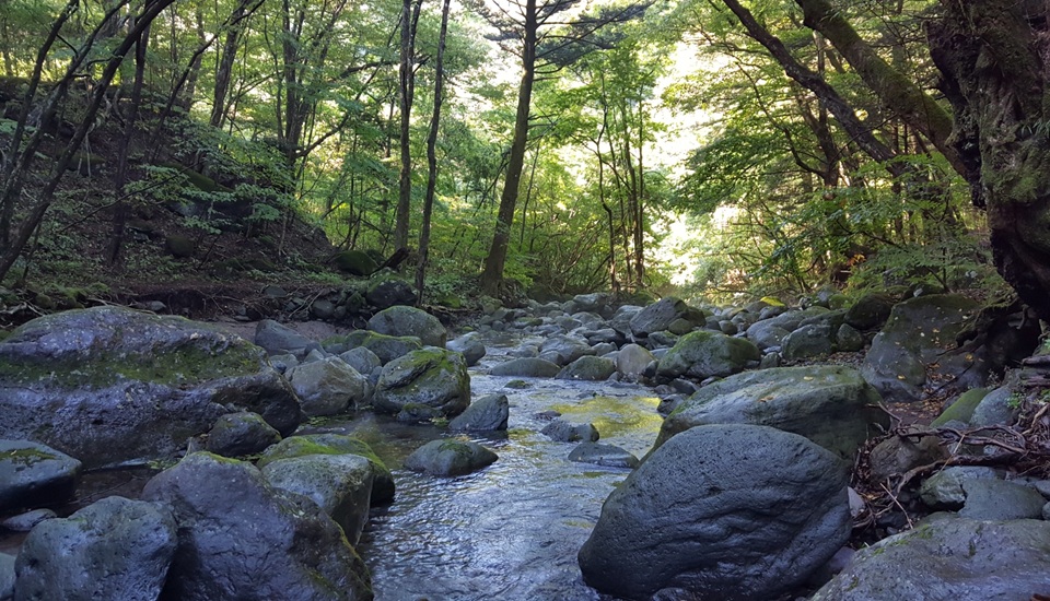 オーキャン宝島　尚仁沢湧水