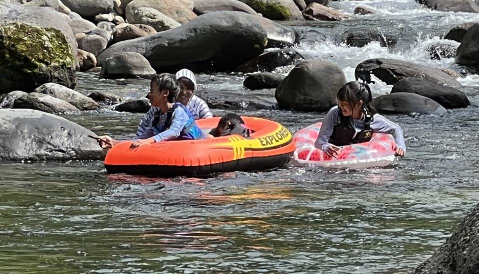 新くるみランド