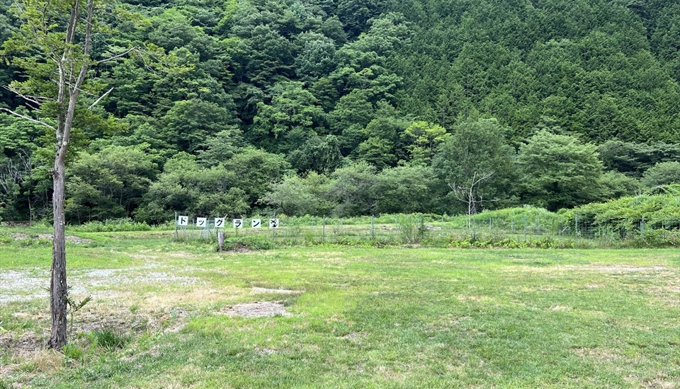 新くるみランド 