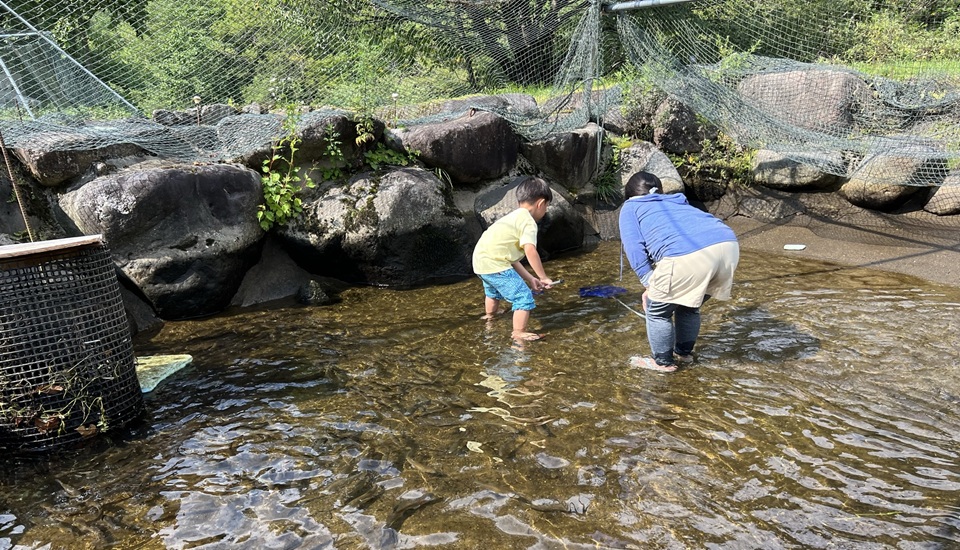 新くるみランド