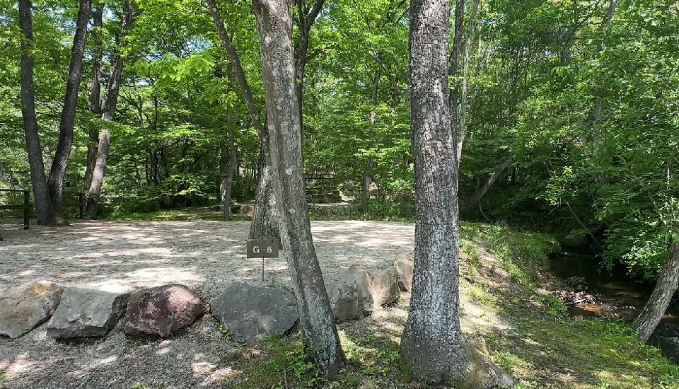 キャンプラビット