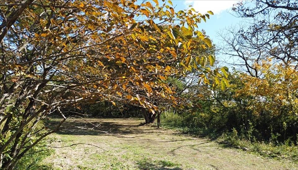 那須高原ITAMUROキャンプ場