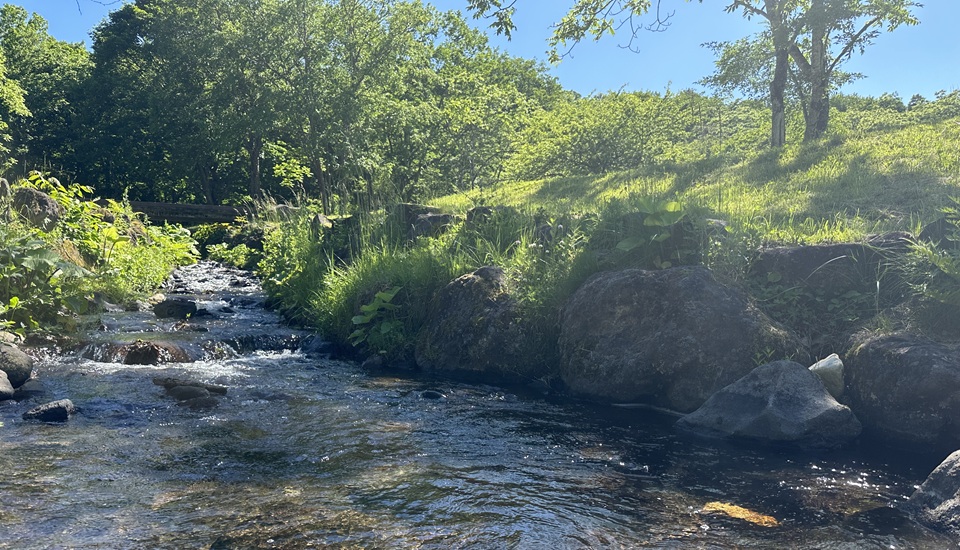 駒出池キャンプ場