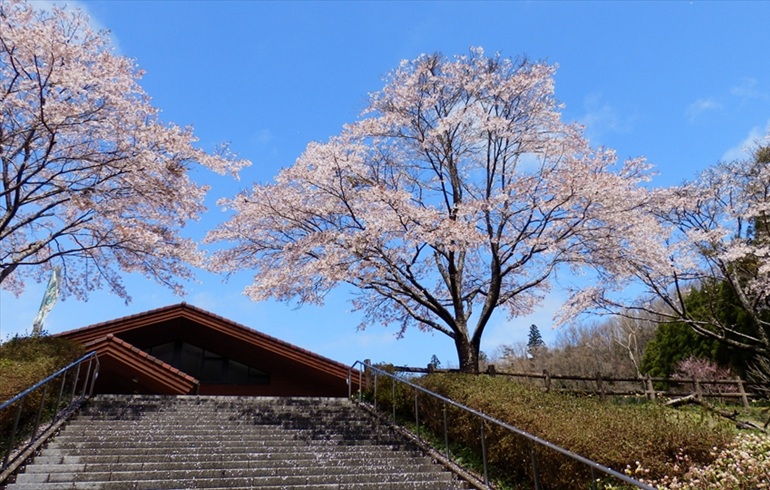 いわき市遠野オートキャンプ場