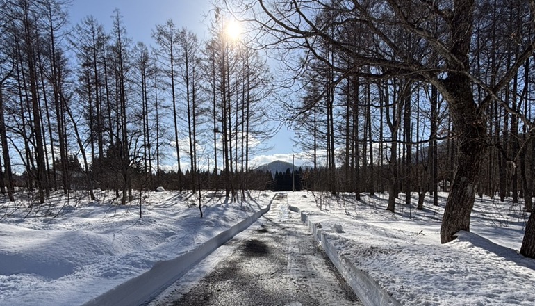こもれびの森キャンプ荘川