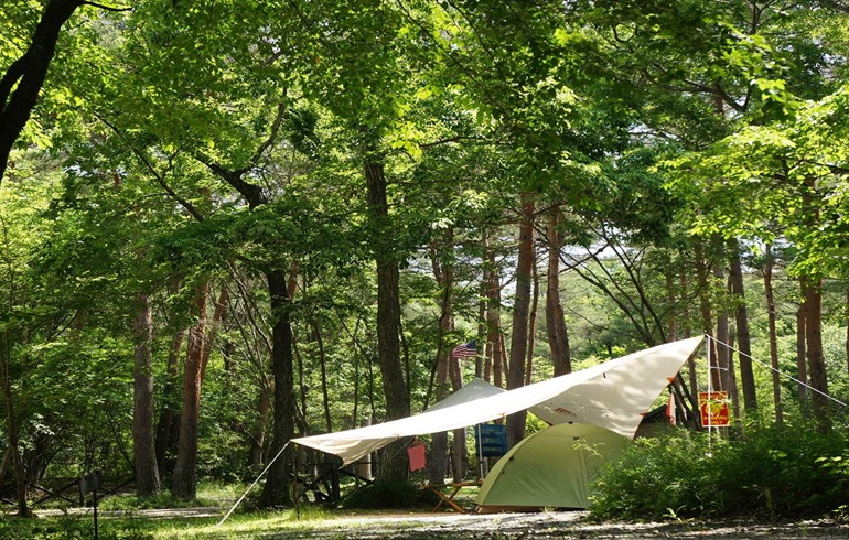 キャンプラビット予約