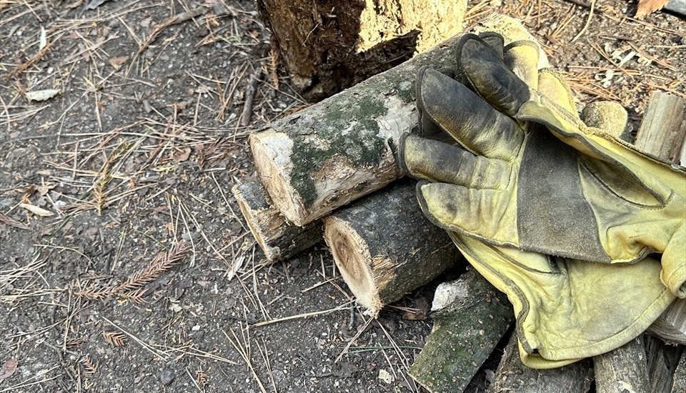 グリップスワニー