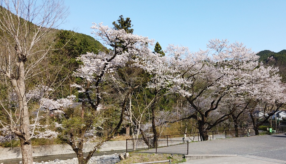 ケニーズ・ファミリー・ビレッジ