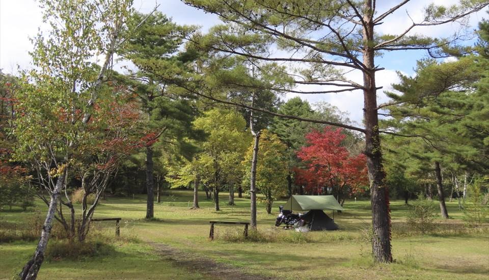 北軽井沢キャンプフィールド