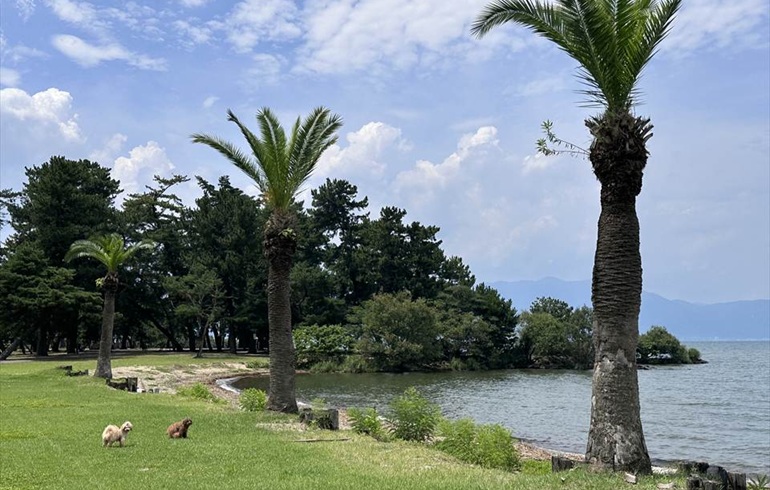 マイアミ浜オートキャンプ場