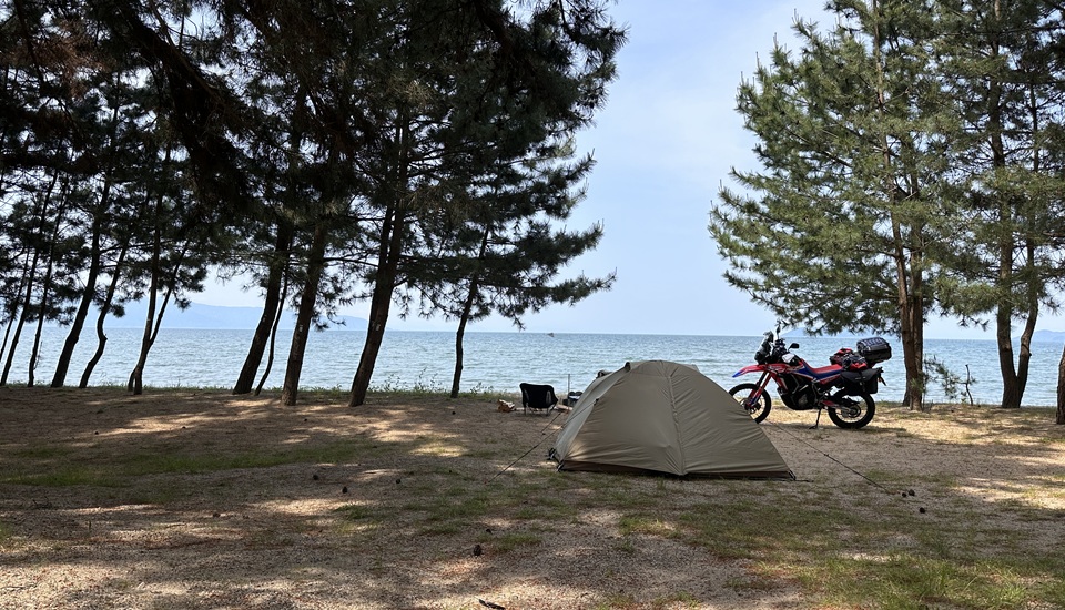 マイアミ浜オートキャンプ場フリーサイト