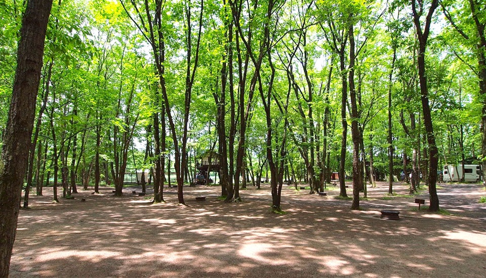 北軽井沢スウィートグラス林間サイト