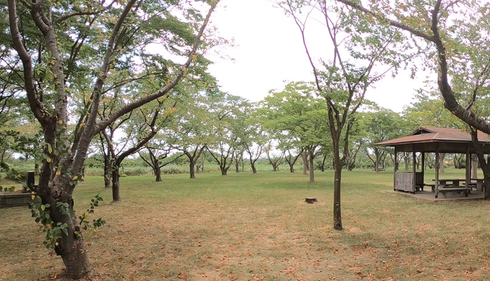 南の池キャンプ場