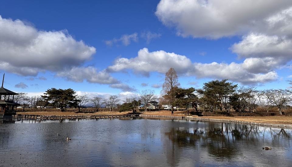 大池公園キャンプ場