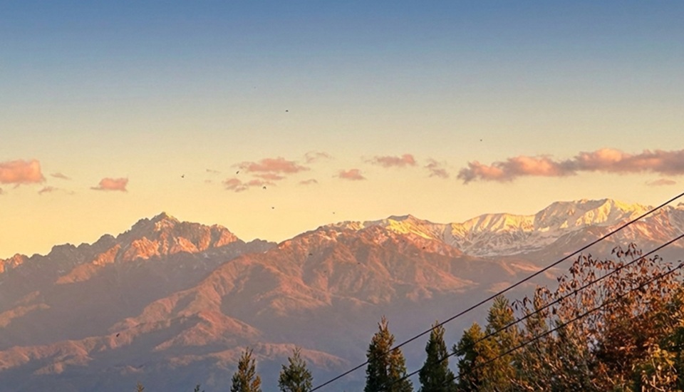 牛岳パノラマオートキャンプ場きらら8