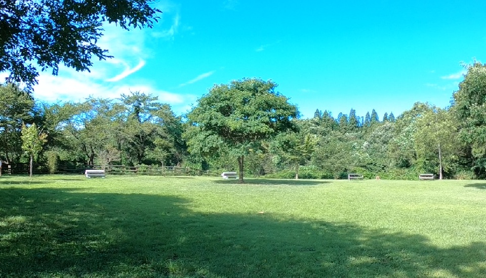 秋田県立中央公園キャンプセンター