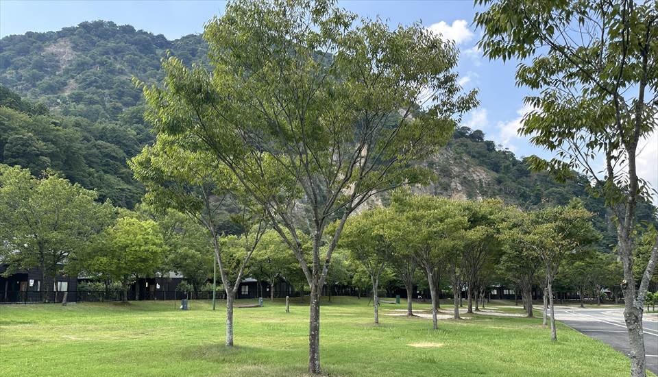 青川峡キャンピングパーク