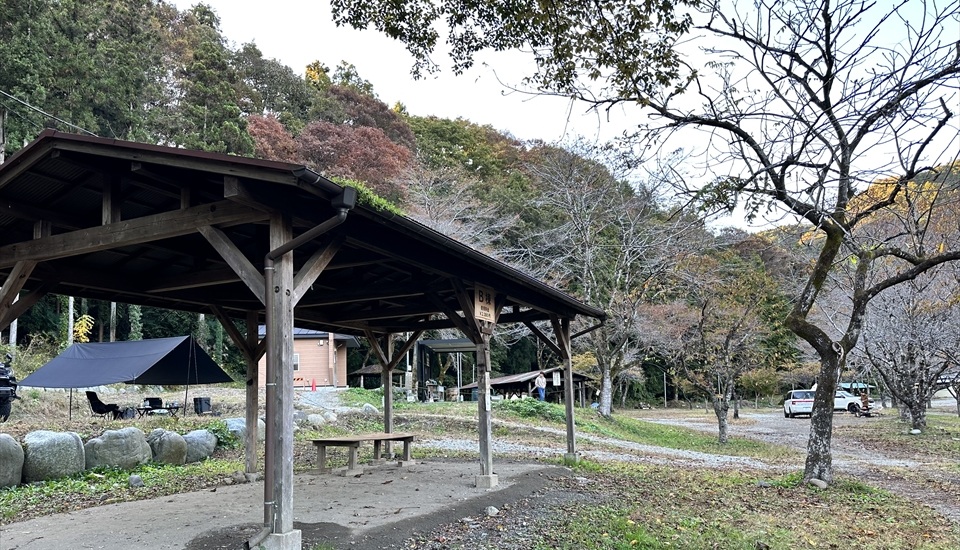 青野原オートキャンプ場桜003