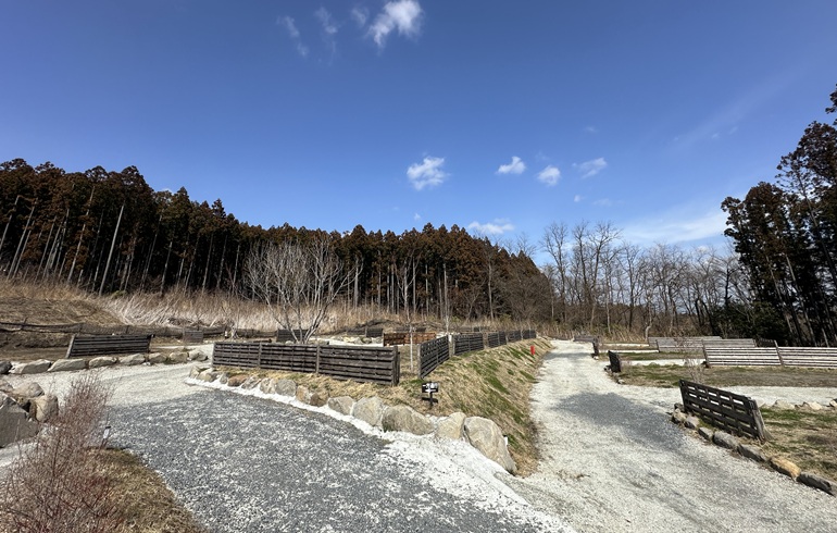 jutecmapfieldサムネ