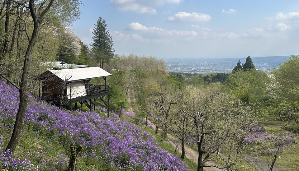 くりの木キャンプ場