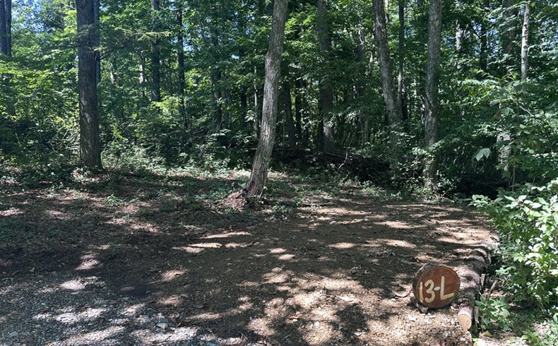 こもれびの森キャンプサイト荘川