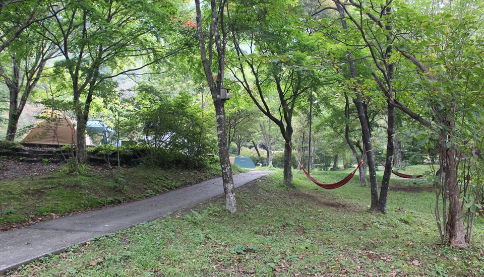 わらび平森林公園キャンプ場