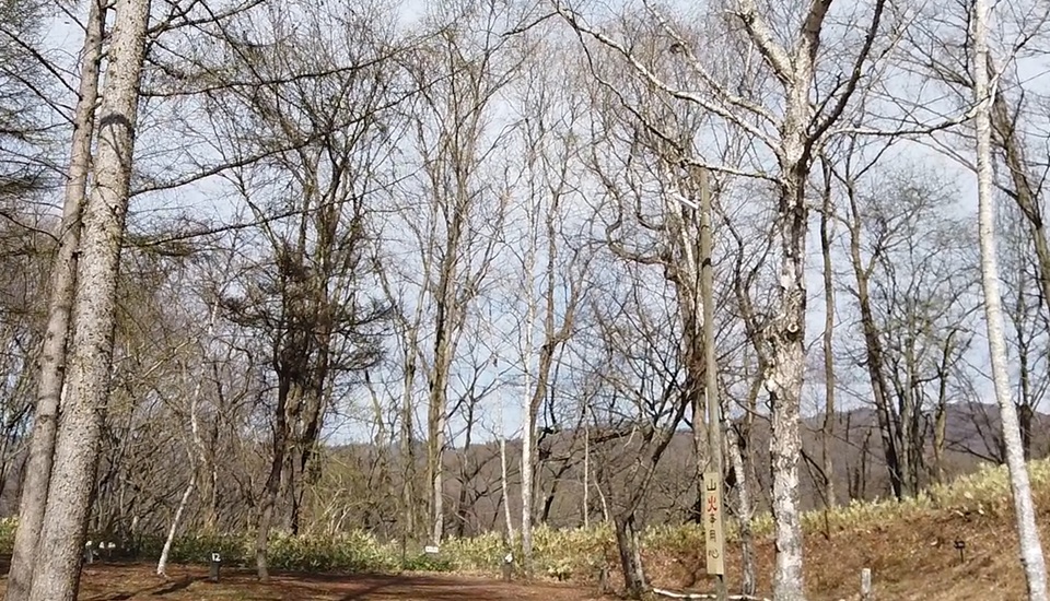 オートキャンプきたかる