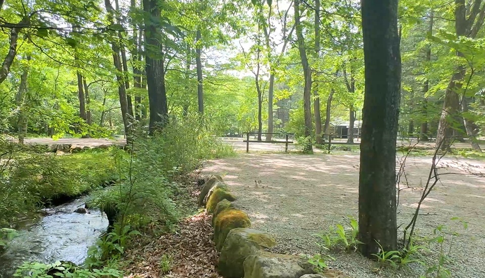 キャンプラビット