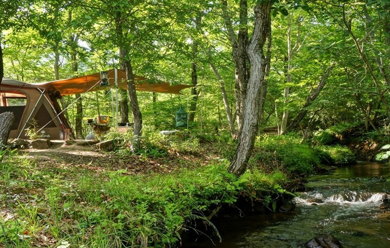 キャンプラビット