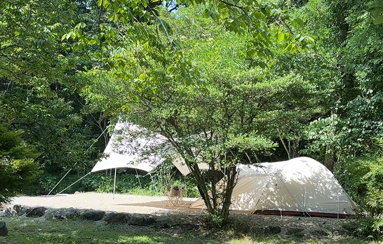 キャンプラビット