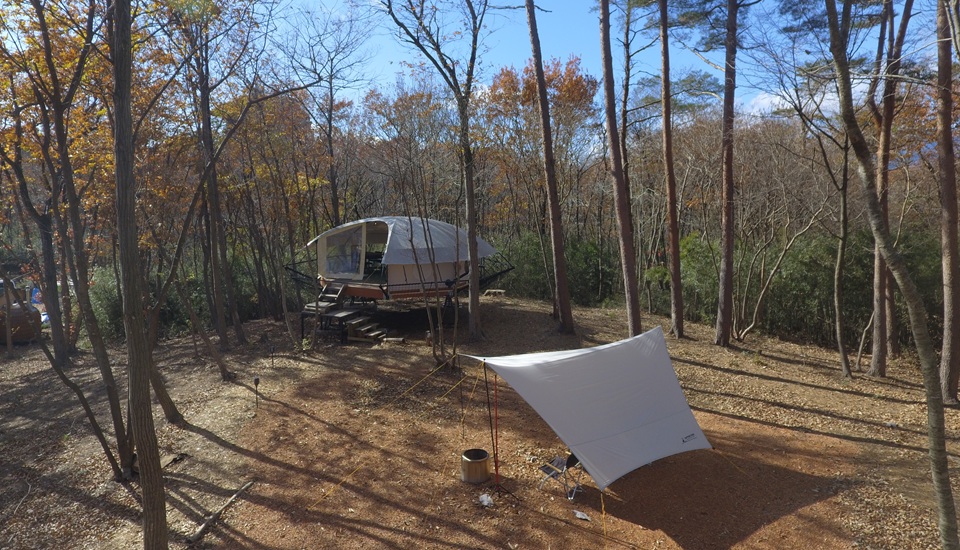 MORINIEL　ドムアップ